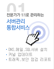 서버관리통합서비스