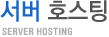 서버호스팅